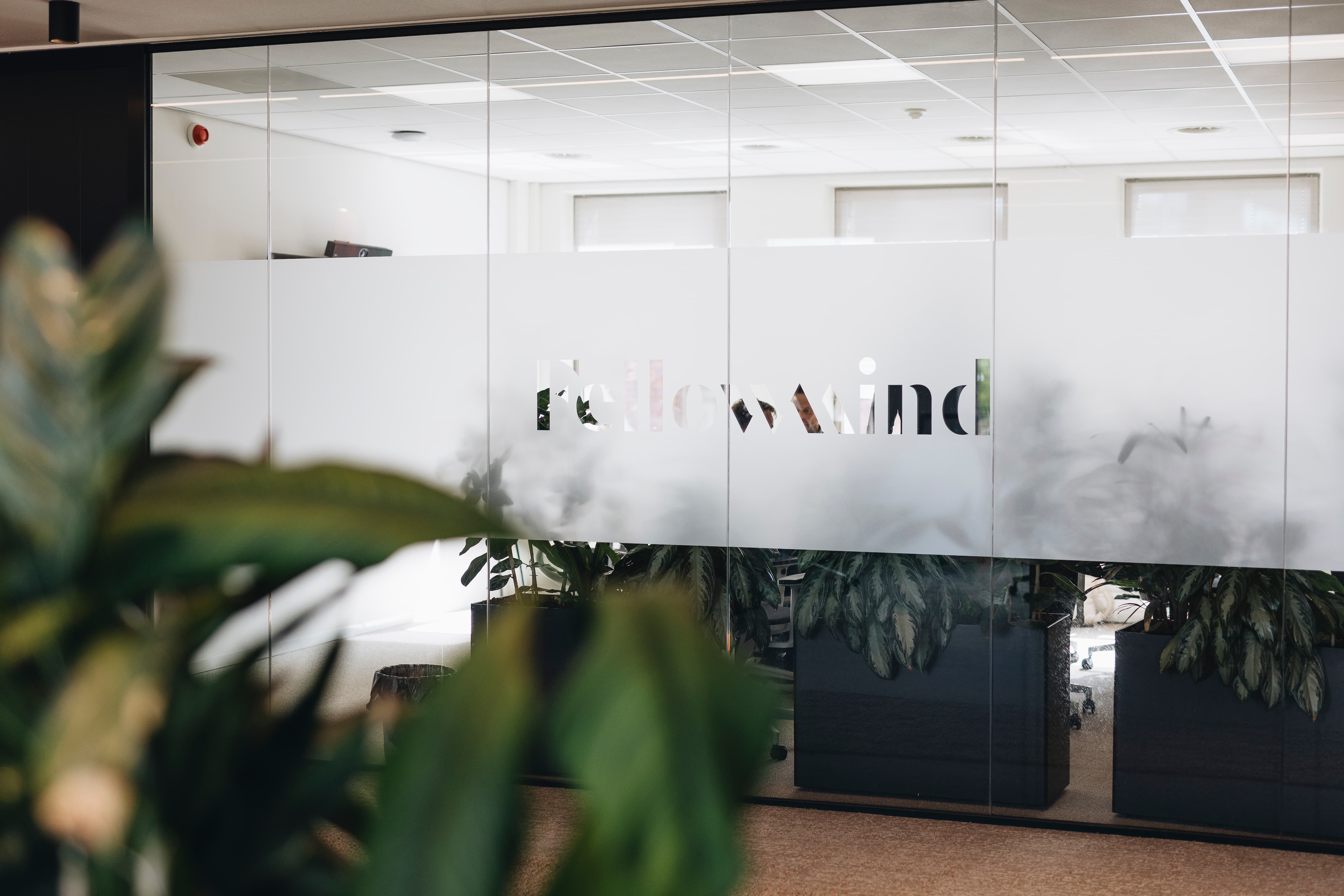 Microsoft Partner van het Jaar-awardbadges naast een groen plantblad op een lichte achtergrond