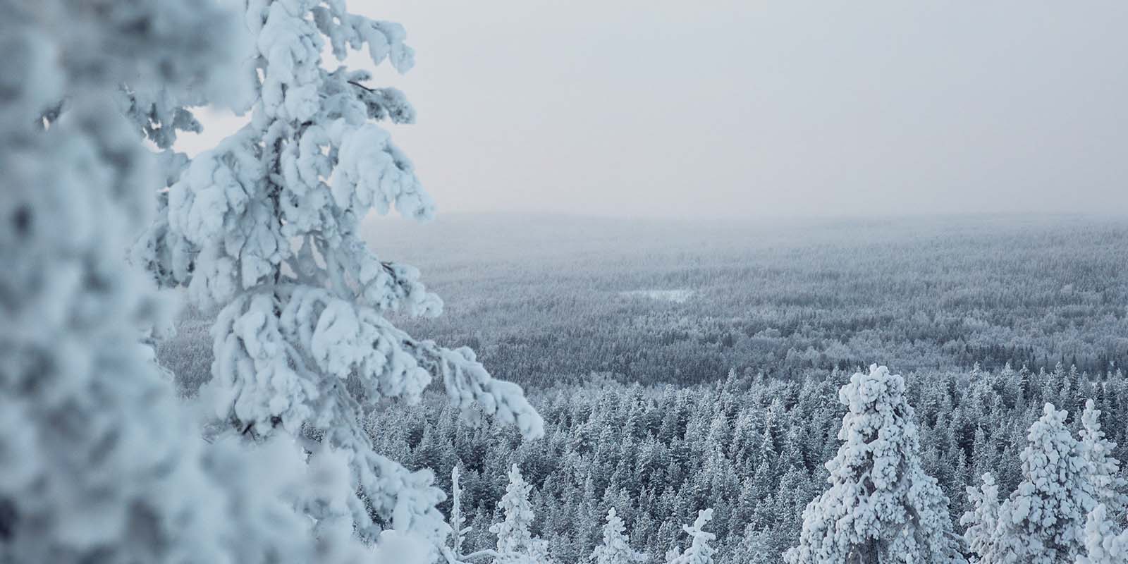 Fellowmind-4-hyvää-tekoa-header.jpg Neljä hyvää tekoa, Fellowmind