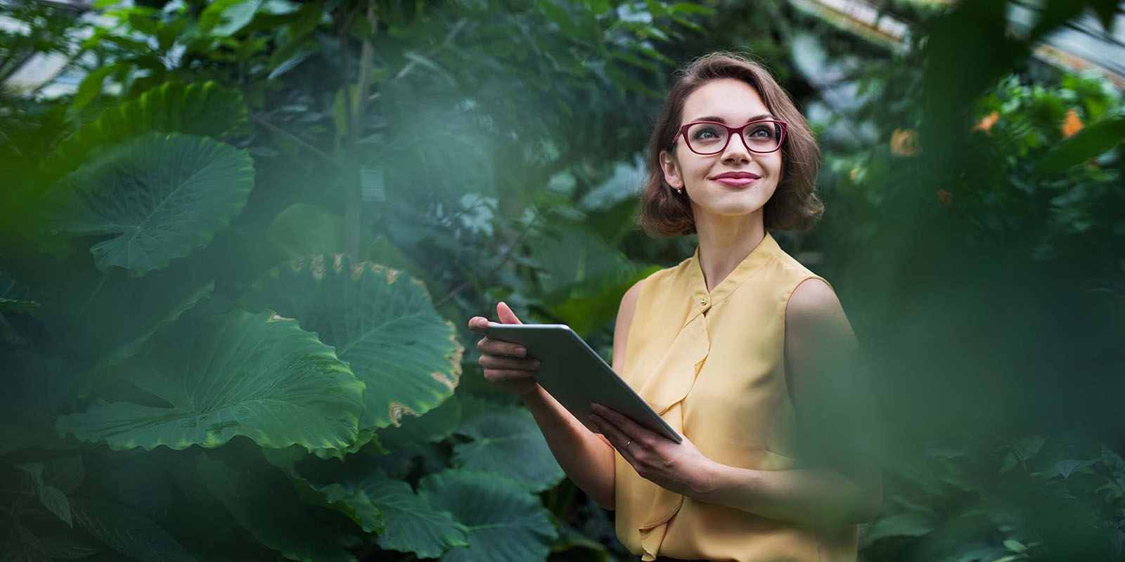 Så förenklar External Reporting i Microsoft Sustainability Manager din ESG-rapportering