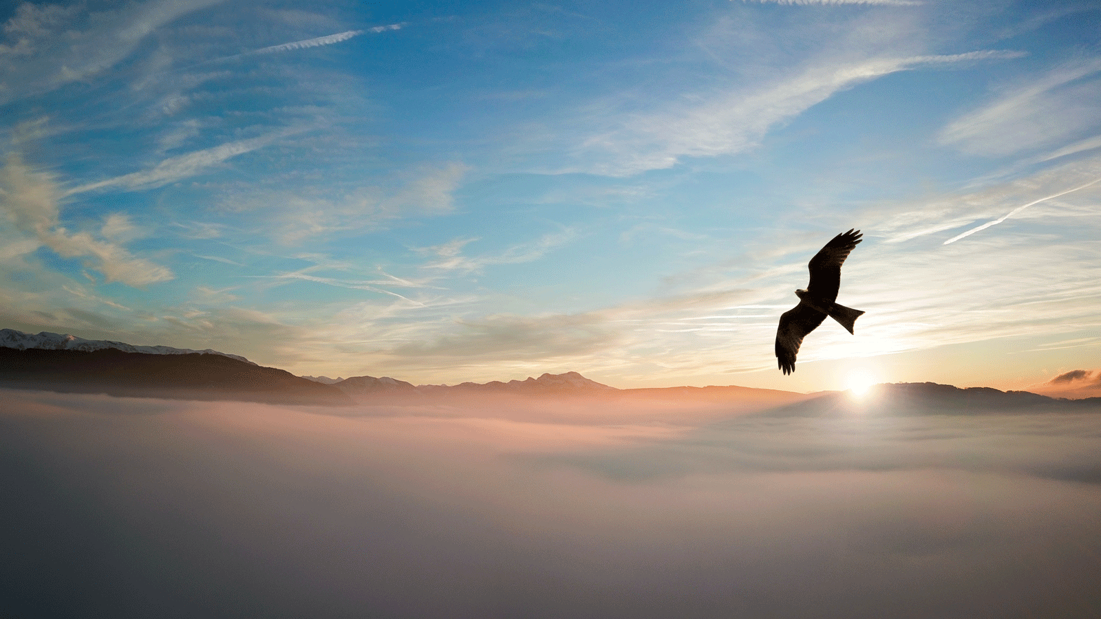 Fågel i siluett flyger över dimmigt bergslandskap i soluppgång med blå himmel och moln